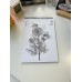 İstisna 29x21 A4 Beyaz Eskiz Defteri Çiçekli & Arılı Sketch Book 110gr 40 Yaprak